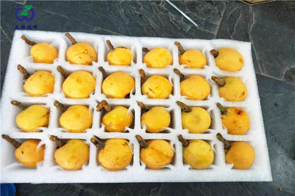 枇杷內(nèi)托的制作材料對(duì)人體有害嗎？